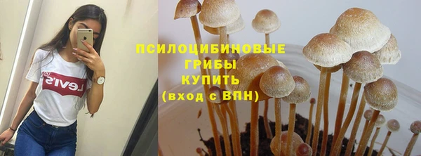spice Алексеевка