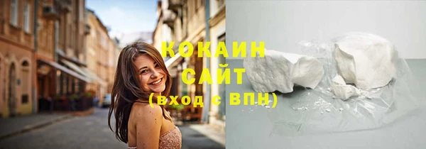 мяу мяу мука Иннополис