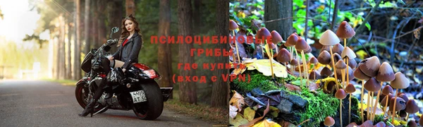 spice Алексеевка