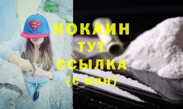 дживик Инсар